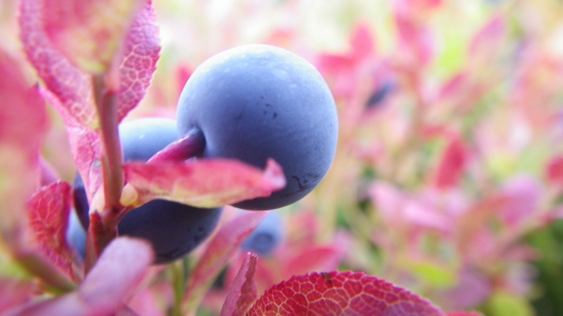 Großfahrt in Norwegen 2014