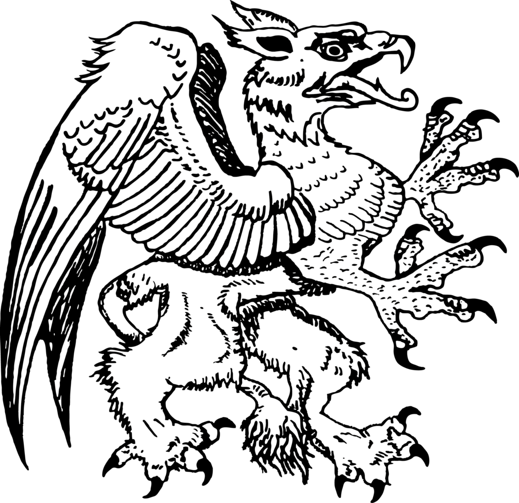 Greif schwarz-weiß