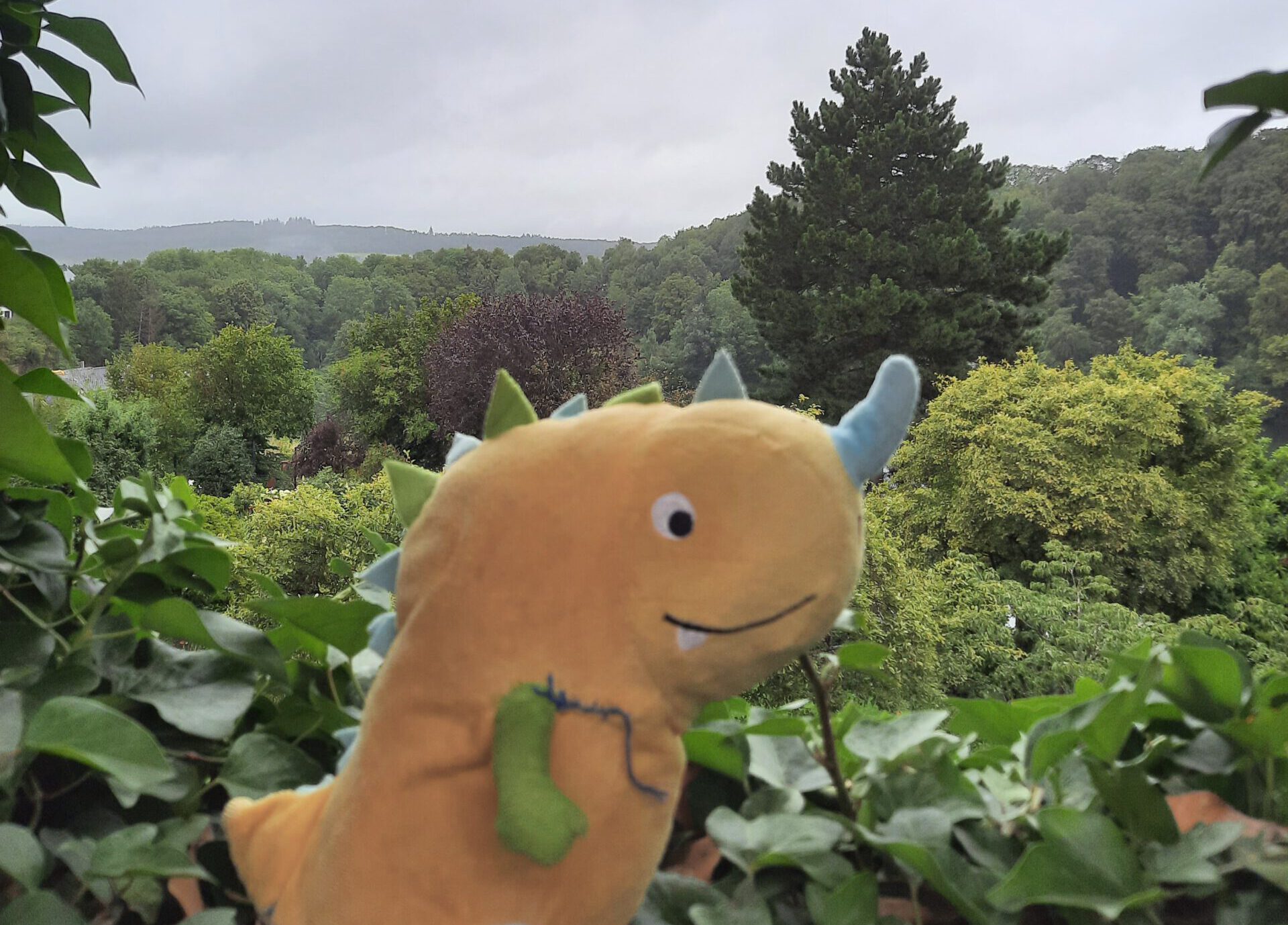 Sommerlager und Sommerfahrt 2023